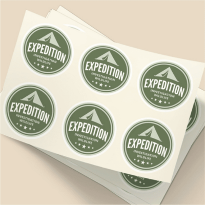 Untitled design (97)